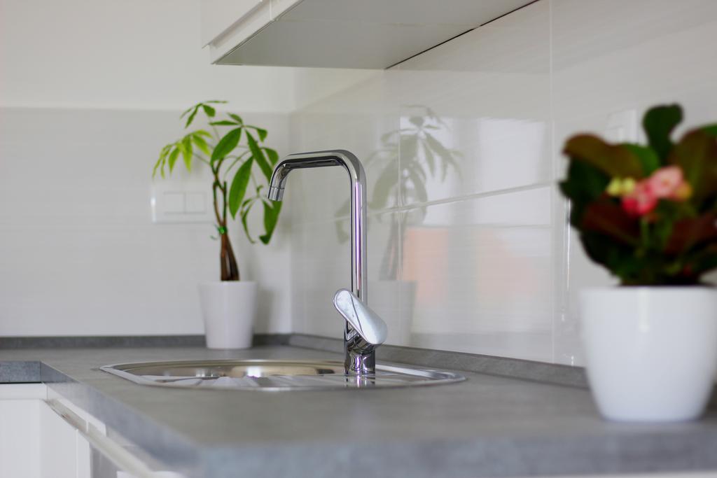 וודיצה Apartment Udovicic מראה חיצוני תמונה